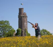 Ballyfin Demesne Exterior