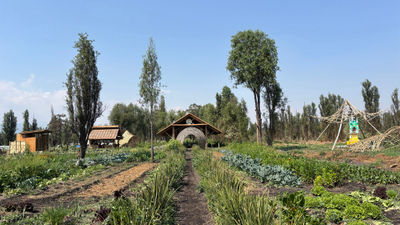 Fuego Vivo is a sustainable agritourism project designed to help increase sustainable farming in Mexico City.